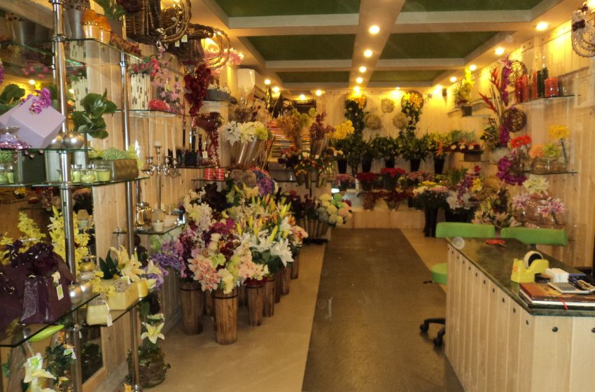 Ferns N Petals – The Best Place For Gifting Flowers, Cakes, Plants And More