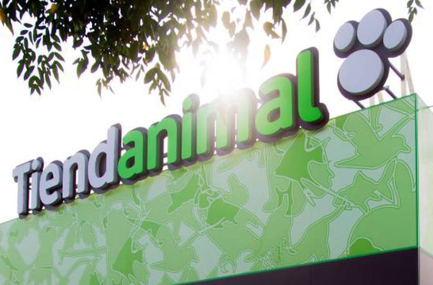 Teindanimal: The One-Stop Shop for All Your Pet Needs