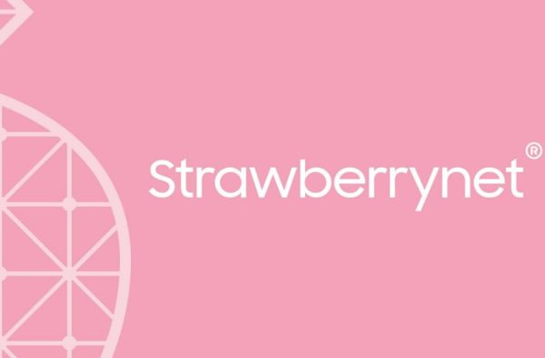 Strawberrynet is the Ultimate Destination for Makeup Lovers Everywhere