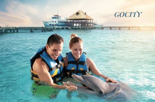 Discover the World with Go City | Your Ultimate Social Travel Network