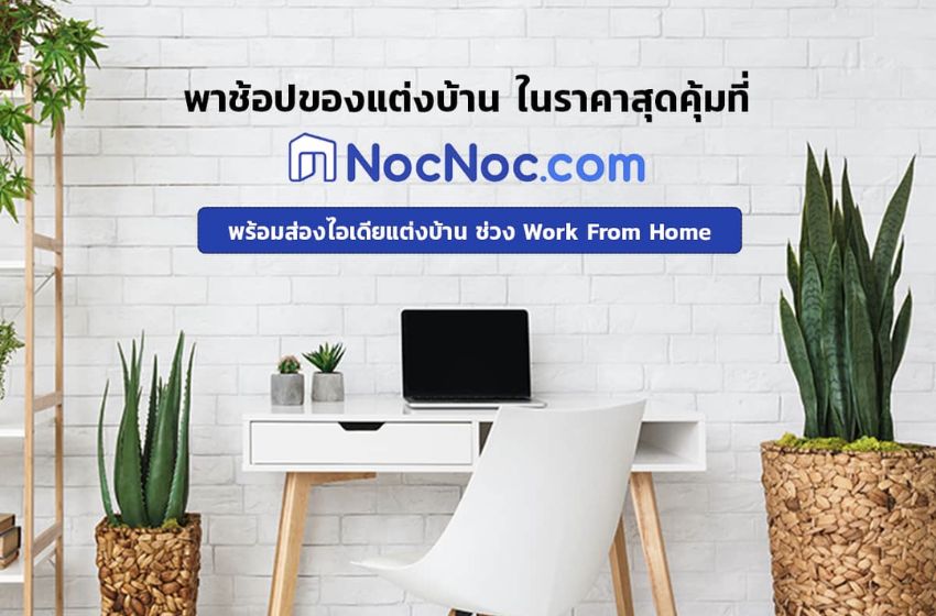 NocNoc | The Online Marketplace Making Home Goods Shopping a Breeze