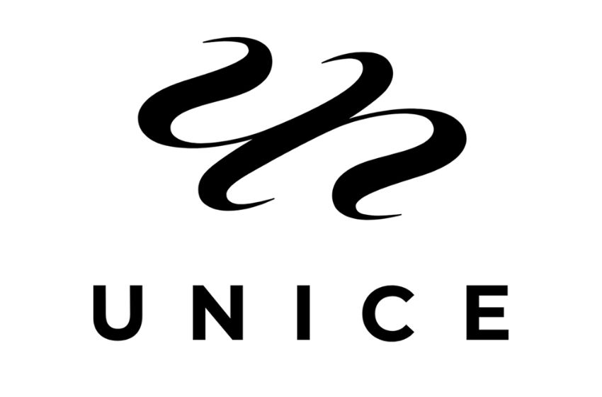 UNice | Where Quality Meets Convenience – Explore the Best Human Hair Wigs Both Online and Offline