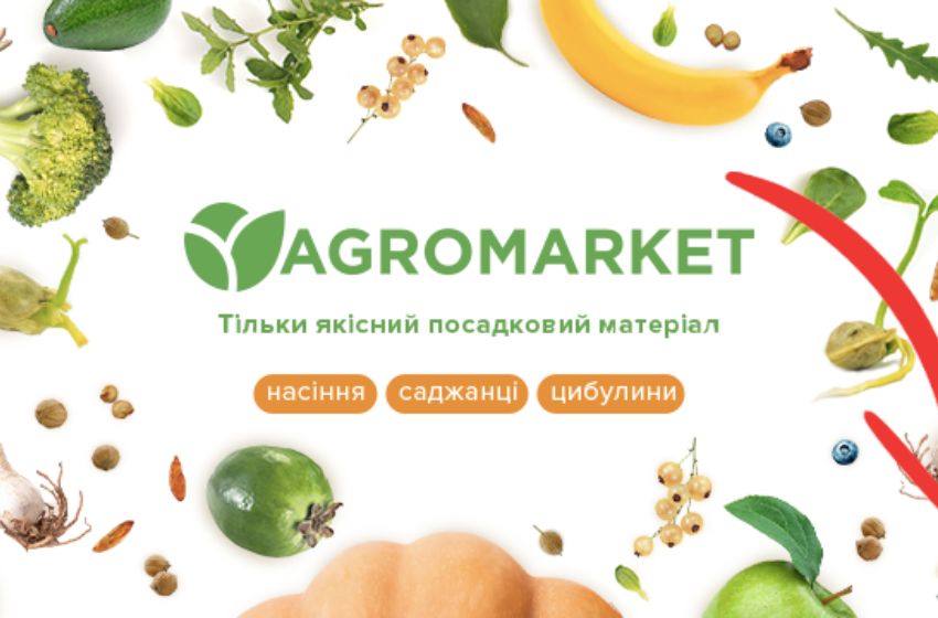 AgroMarket | Revolutionizing Global Trade for Small-Scale Agriculture Businesses