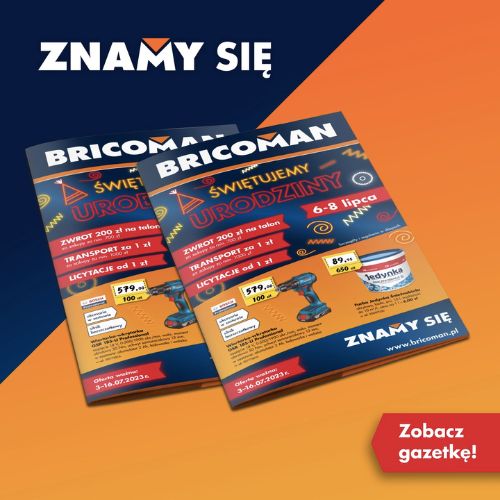 Bricoman_1