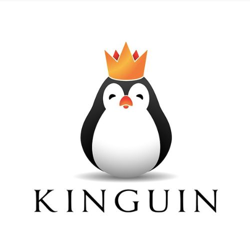 Kinguin_2