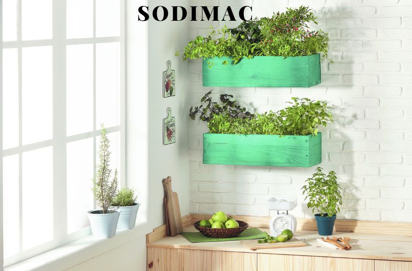 Discover the Convenience of Shopping at Sodimac | Your One-Stop Online Store for Home Renovation