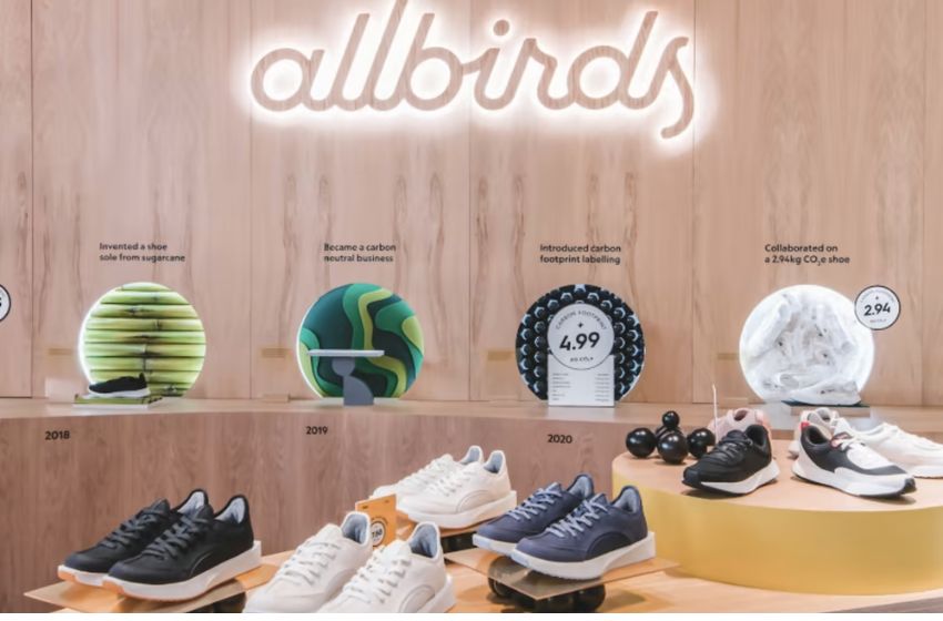 Allbirds | Your Go-To Brand for Stylish and Sustainable Shoes