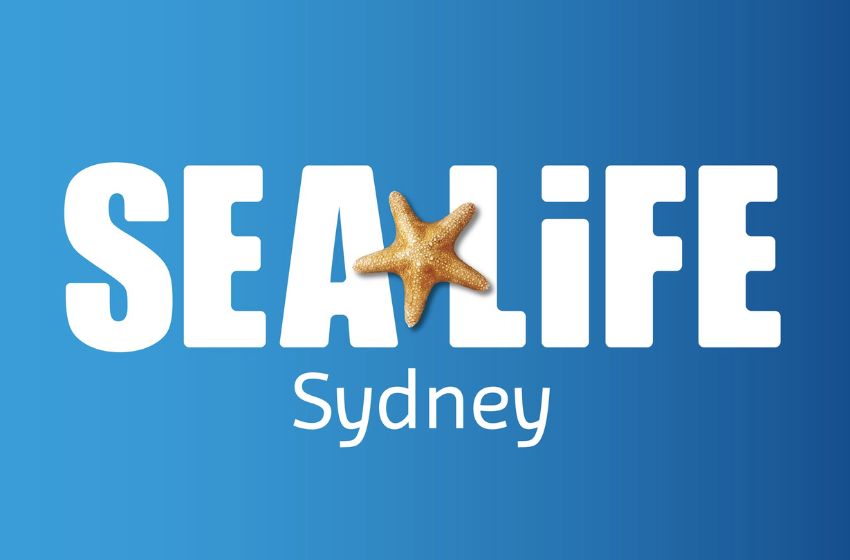 SEA LIFE Sydney Aquarium | An Unforgettable Experience for Nature Enthusiasts and Families Alike