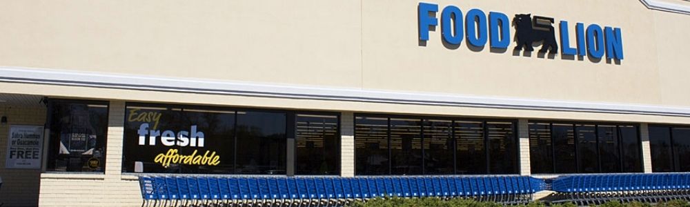 Food Lion _1 (1)