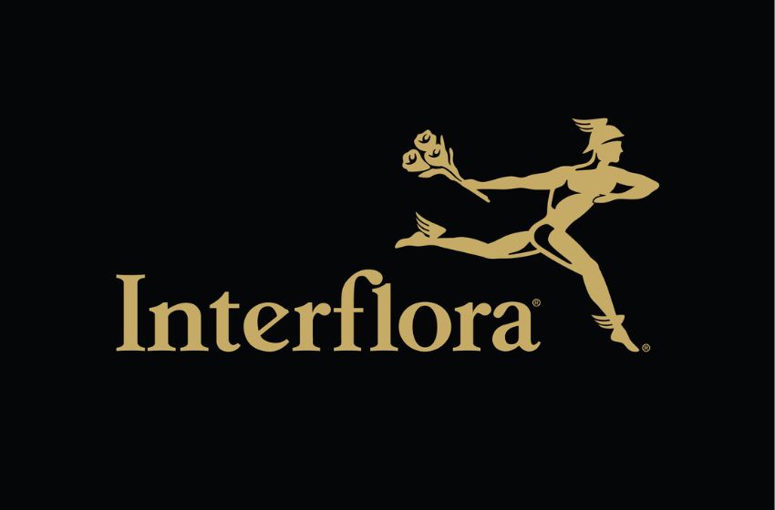 Discover the Art of Flower Arrangements | Meet Interflora, Your Trusted Local Florists