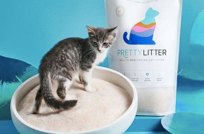 Stay One Step Ahead with PrettyLitter | The Smart Choice for Proactive Cat Care