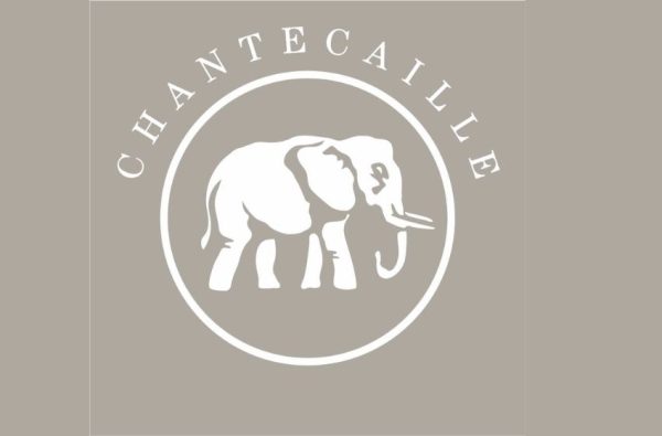 Unveiling the Beauty Secret | Chantecaille Products are Free from Phthalates, Sulfates, and More!