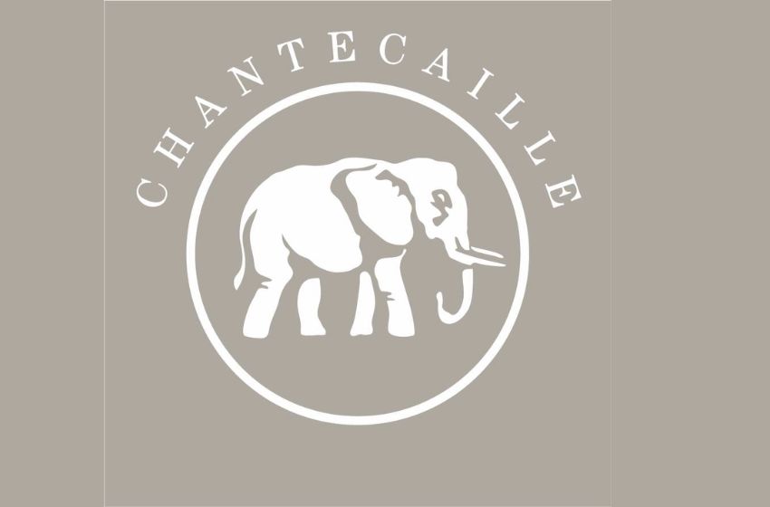 Unveiling the Beauty Secret | Chantecaille Products are Free from Phthalates, Sulfates, and More!