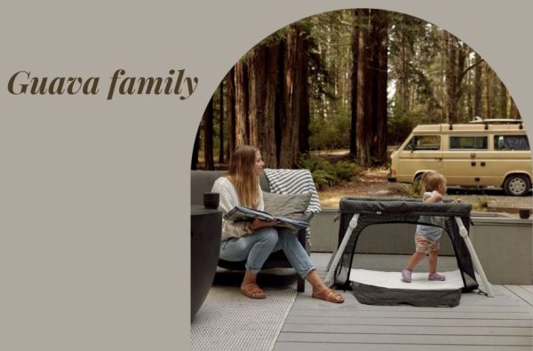 Guava Family | Catering to the Dynamic Needs of Active Parents