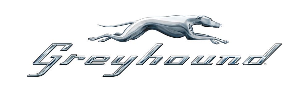 Greyhound _1