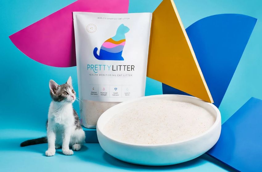 PrettyLitter | The Revolutionary Cat Litter Taking the Pet Care World by Storm