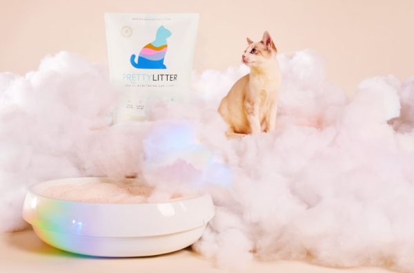 PrettyLitter | The Future of Litter Boxes for Cats Everywhere