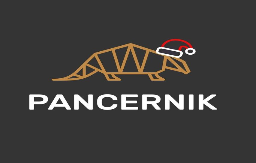 Introduction: Discover the Best Smartphone Accessories at Pancernik.eu